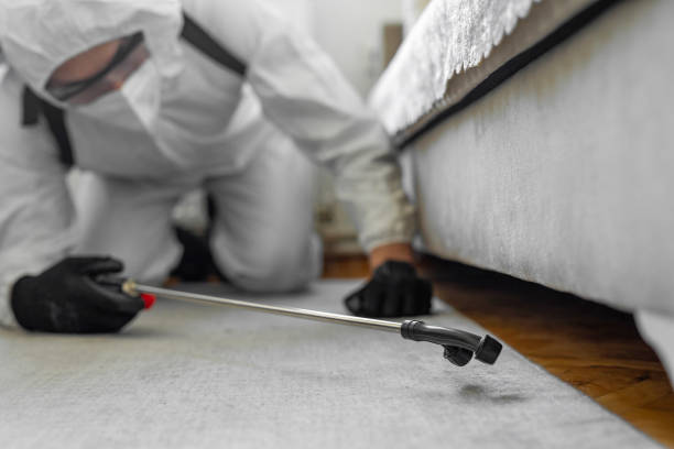Professional Bed Bug Control technician working in Marion Center, MA