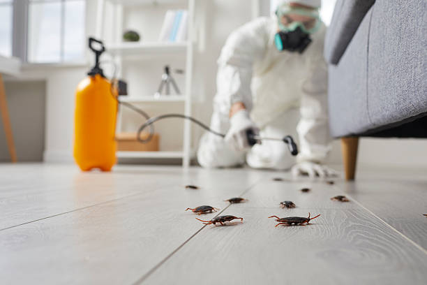 Trusted Cockroach Control service in Marion Center, MA - Nex Pest Control