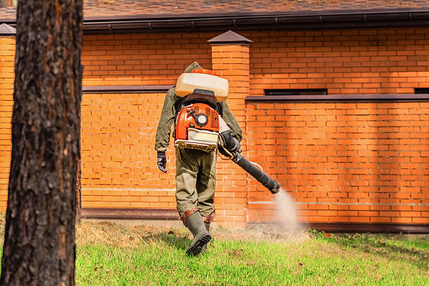 Trusted Termite Control service in Marion Center, MA - Nex Pest Control
